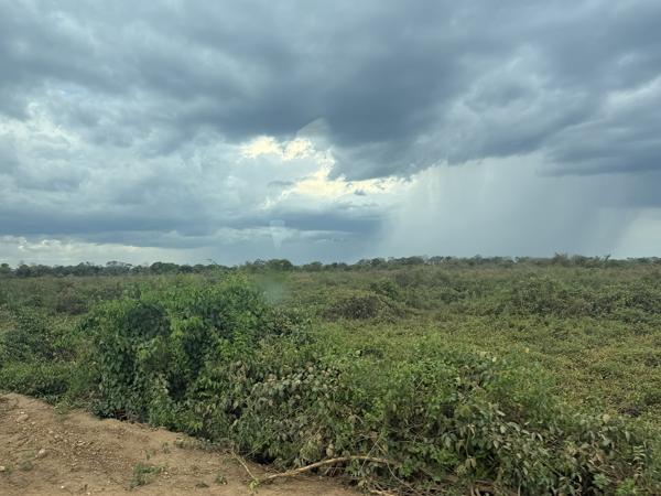 Regen op afstandRegen op afstand